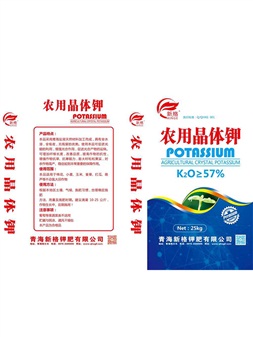  250T全自動真空硫化機新型軌道開模
